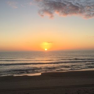 Meet your Posher, Fran